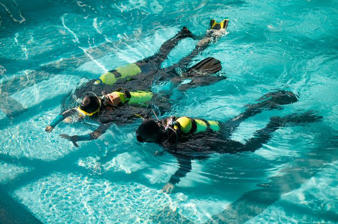PADI SCUBA DIVER