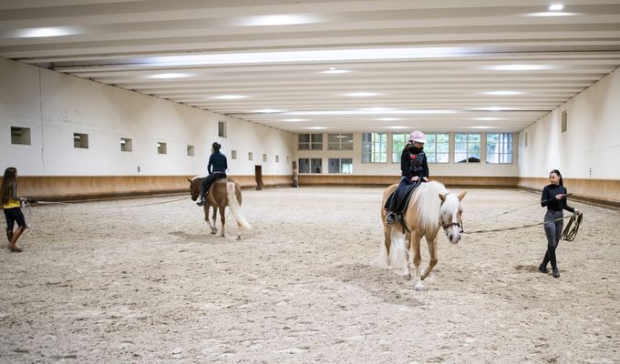 PRIVATE HALBE REITEINZELSTUNDE