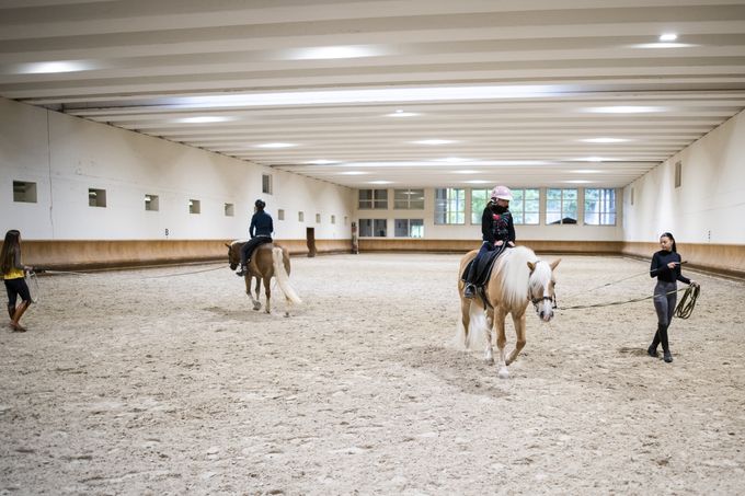 PRIVATE HALBE REITEINZELSTUNDE