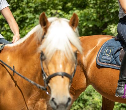 Angebot: REITWOCHE - Quellenhof Luxury Resort Passeier
