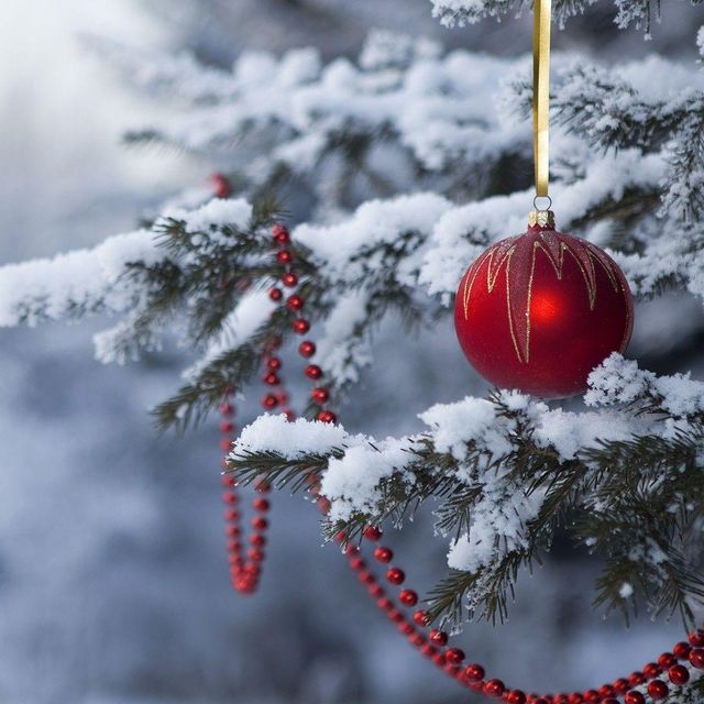 Advent - Kurzgenuss