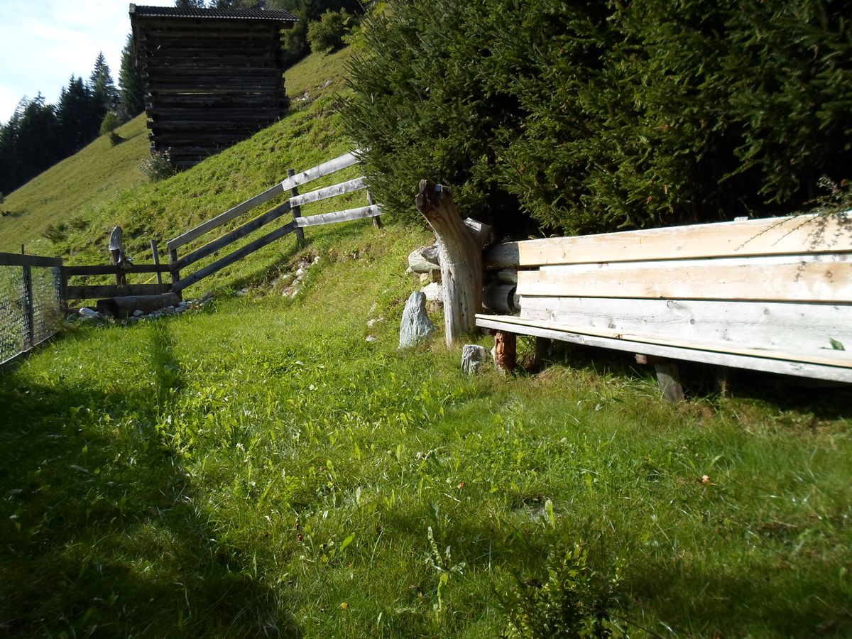 Ferienhaus Schlickhütte (100709), Großarl, Pongau, Salzburg, Österreich, Bild 23