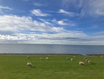 Top Angebot: Yoga-Auszeit für Frauen - Haus am Watt