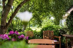 Biohotel Haus am Watt: Sonnenterrasse - Haus am Watt, Heringsand, Nordsee, Schleswig-Holstein, Deutschland