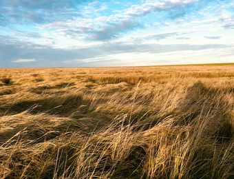 Top Angebot: Yoga & Ayurveda für Frauen - Haus am Watt