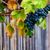 Genussmoment im Herbst