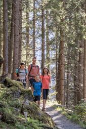 Sommer, Familie, Bergluft