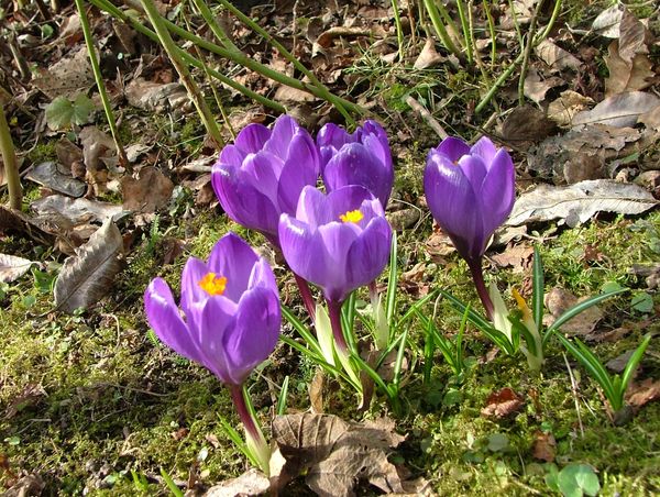 Osterfrühling im Hotel Madatsch 5 = 4