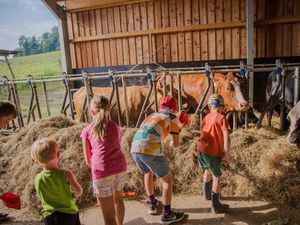 Kinder helfen dem Bauer Hans bei der Stallarbeit im Schreinerhof