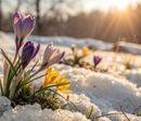 Frühlingserwachen – Zurück ins Leben