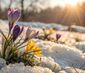 Frühlingserwachen – Zurück ins Leben