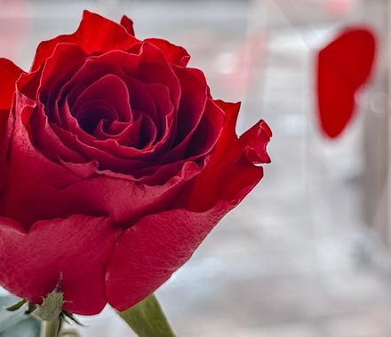 Muttertags-Special - DAS AHLBECK HOTEL & SPA