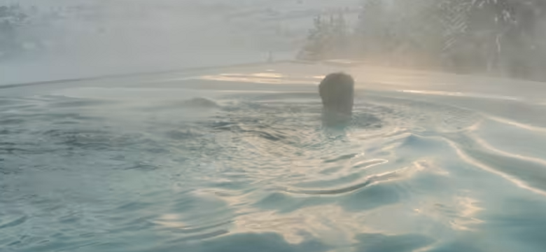 DAS.GOLDBERG: Spring.Reset