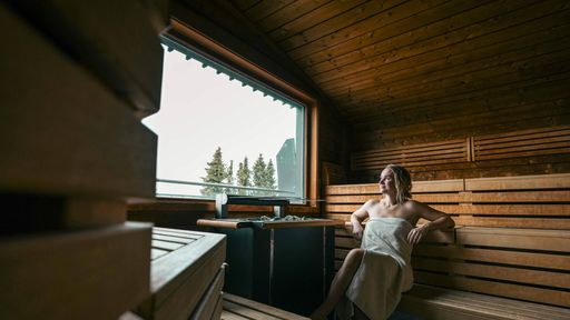 Blockhaussauna im Birkenhof