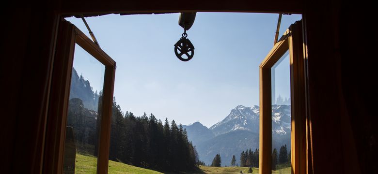 Berghotel Schlossanger Alp: BAUMhaus image #4