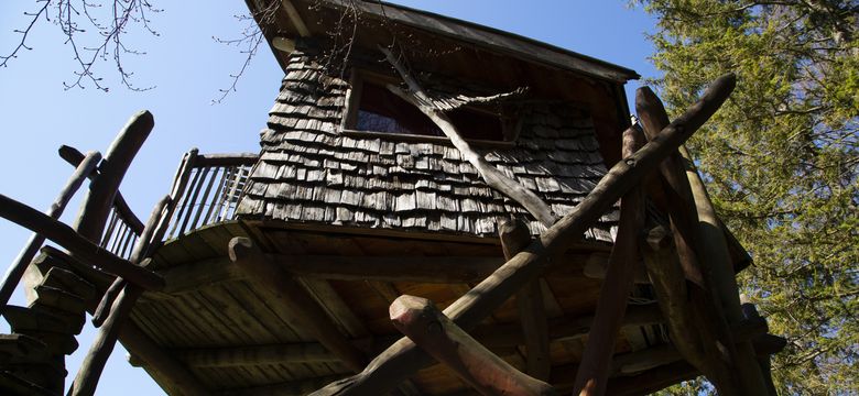 Berghotel Schlossanger Alp: BAUMhaus image #6