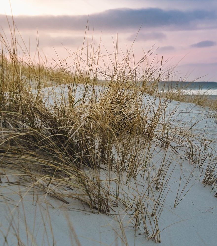 Angebot: Wind und Wetterwochen 7 ÜN - Strandhotel Seerose