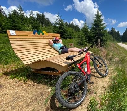 Angebot: E- Bike Urlaub - Wellnesshotel Riedlberg 