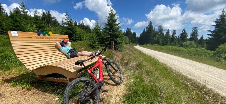 ...das kleine Paradies am Berg! Wellnesshotel Riedlberg : E- Bike Urlaub