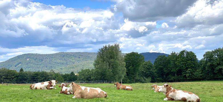 ...das kleine Paradies am Berg! Wellnesshotel Riedlberg : Herbstwoche 7