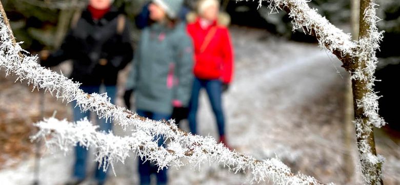 ...das kleine Paradies am Berg! Wellnesshotel Riedlberg : Stade-Zeit