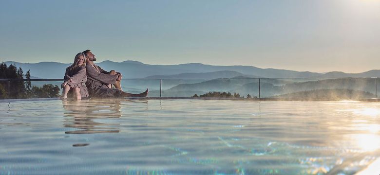 Wellnesshotel Zum Bräu: Wald Wellness Vorteilstage