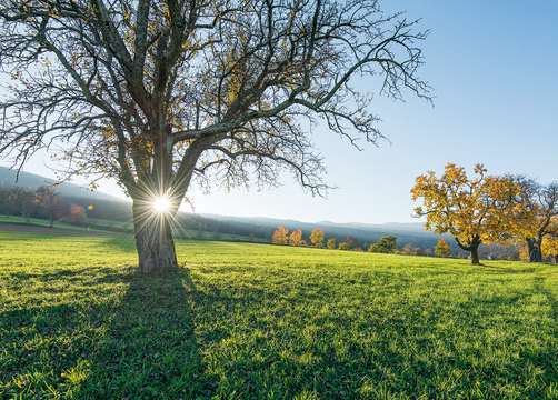 RETTER Bio-Natur-Resort: Herbst-Landschaft  - RETTER BIO-NATUR-RESORT, Pöllauberg, Steiermark, Österreich