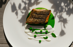 BIO HOTEL Gran Fodà: Einzigartige Fischgerichte. - Alpine Hotel Gran Fodà, St. Vigil in Enneberg, Dolomiten, Trentino-Südtirol, Italien