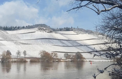 Bio Boutique Hotel Prüm: Auch im Winter eine Reise wert - Bio Boutique Hotel Prüm & Yoga Retreats , Brauneberg, Mosel, Rheinland-Pfalz, Deutschland